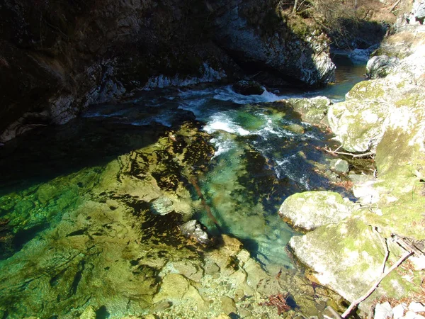 Vintgar Gorge Bled Gorge Radovna River Soteska Vintgar Ali Blejski —  Fotos de Stock