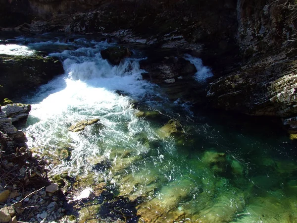 Vintgar Gorge Bled Gorge Radovna River Soteska Vintgar Ali Blejski — 图库照片