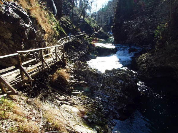 Vintgar Gorge Bled Gorge Radovna River Soteska Vintgar Ali Blejski — Fotografia de Stock