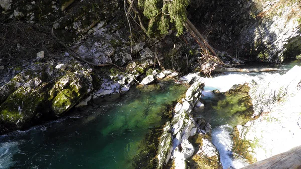 Vintgar Schlucht Oder Blutende Schlucht Und Radovna Fluss Soteska Vintgar — Stockfoto