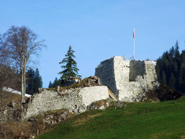 Burgruine Wildenburg Oder Ruine Wildenburg Der Wildhaussiedlung Kanton Gallen Schweiz — Stockfoto