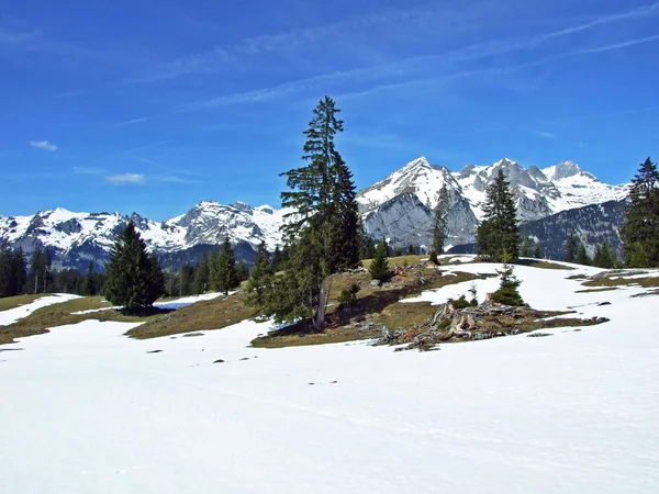 Uitzicht Alpstein Bereik Van Thur Rivier Vallei Regio Toggenburg Wildhaus — Stockfoto