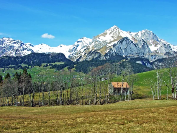 Uitzicht Alpstein Bereik Van Churfirsten Alpine Bereik Regio Toggenburg Wildhaus — Stockfoto