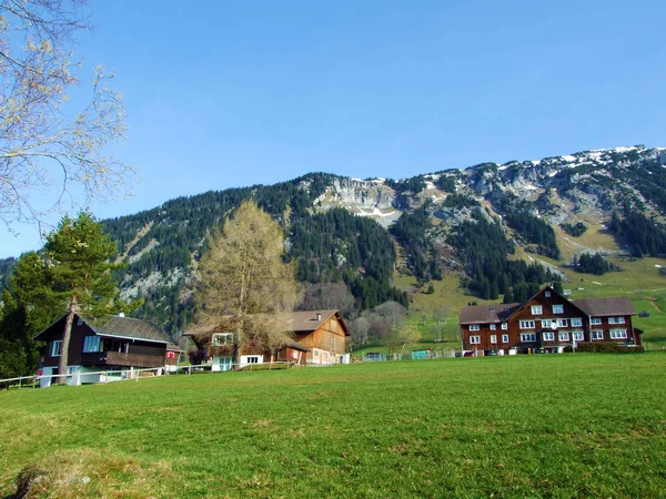 Traditional Architecture Farmhouses Slopes Swiss Alps Thur River Valley Wildhaus — Stock Photo, Image