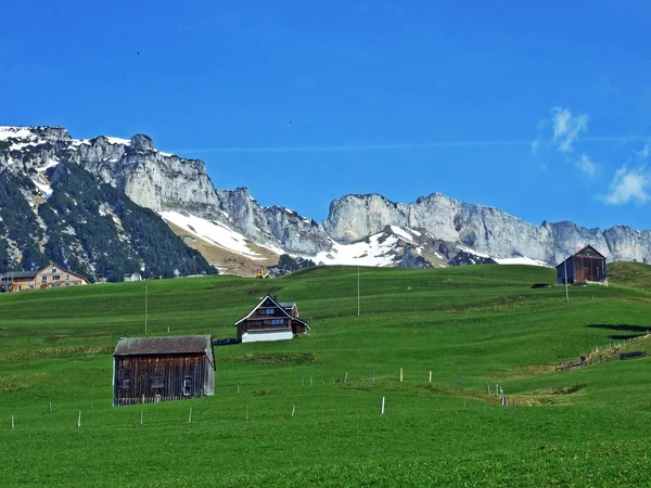 Traditional Architecture Farmhouses Slopes Swiss Alps Thur River Valley Wildhaus — ストック写真