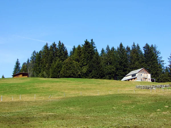 Traditional Architecture Farmhouses Slopes Swiss Alps Thur River Valley Wildhaus — ストック写真