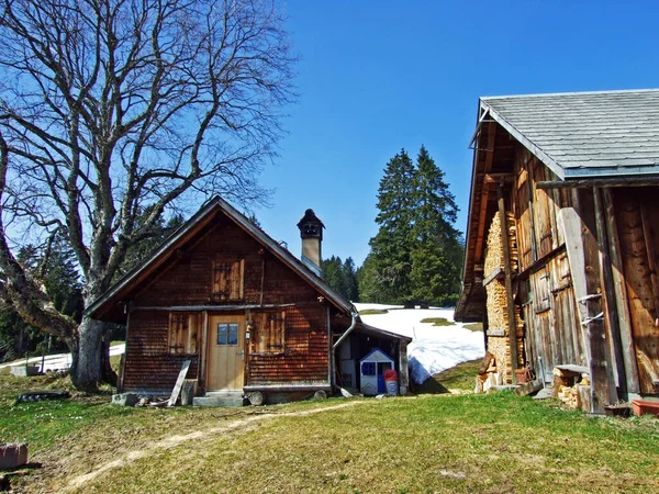 Traditionele Architectuur Boerderijen Hellingen Van Zwitserse Alpen Het Dal Van — Stockfoto