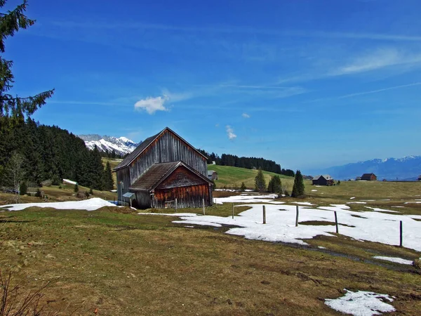 Traditional Architecture Farmhouses Slopes Swiss Alps Thur River Valley Wildhaus — Stok fotoğraf