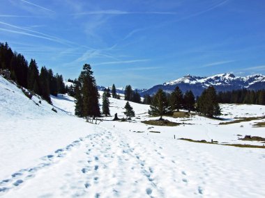 Hiking and walking trails on the slopes of the Alpstein mountain range and in the Thur river valley, Wildhaus - Canton of St. Gallen, Switzerland