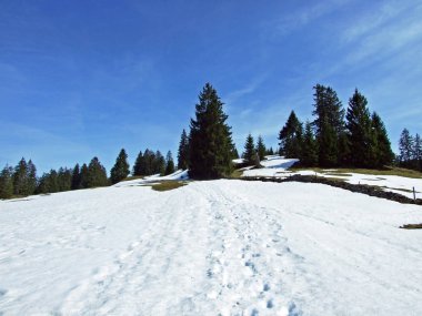 Hiking and walking trails on the slopes of the Alpstein mountain range and in the Thur river valley, Wildhaus - Canton of St. Gallen, Switzerland