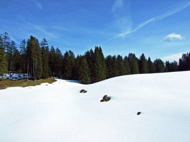 An idyllic snow fairy tale in the early spring at the foot of the Churfirsten Alpine Range, Wildhaus - Canton of St. Gallen, Switzerland