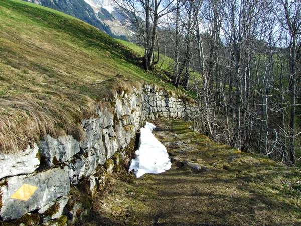 Sentiers Pédestres Pédestres Sur Les Flancs Alpstein Dans Vallée Thur — Photo