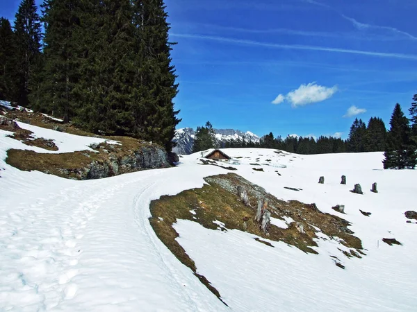 Turistika Pěší Stezky Svazích Pohoří Alpstein Údolí Řeky Thur Wildhaus — Stock fotografie