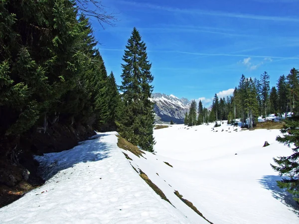 Wandel Wandelpaden Hellingen Van Alpstein Het Dal Van Thur Wildhaus — Stockfoto