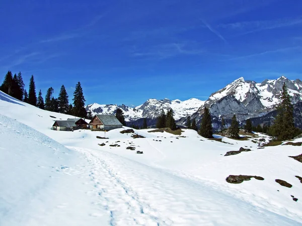 Μονοπάτια Πεζοπορίας Και Πεζοπορίας Στις Πλαγιές Της Οροσειράς Alpstein Και — Φωτογραφία Αρχείου
