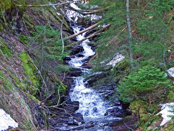Kaskady Nad Alpejskim Potokiem Bluetlosebach Dolinie Rzeki Thur Pod Masywem — Zdjęcie stockowe