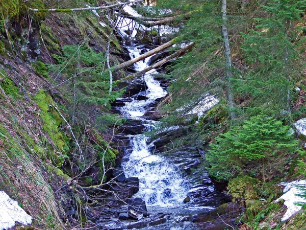 Cascades Alpine Creek Bluetlosebach Thur River Valley Alpstein Mountain Massif — Stok fotoğraf