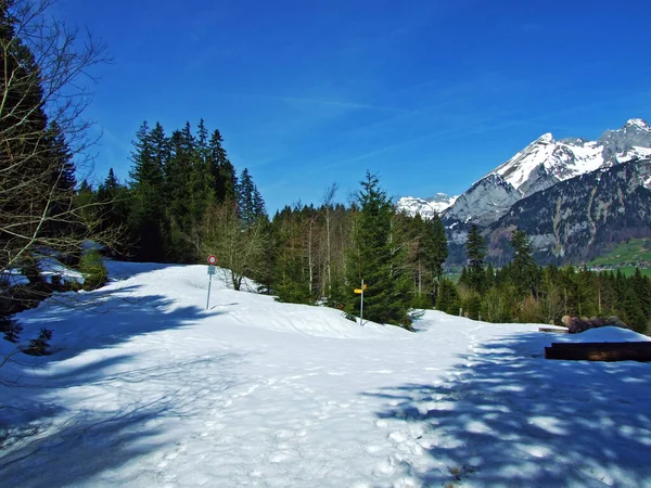 Sielankowa Bajka Śnieżna Wczesną Wiosną Podnóża Pasma Alpejskiego Churfirsten Wildhaus — Zdjęcie stockowe