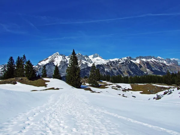 Ein Idyllisches Schneemärchen Vorfrühling Fuße Des Churfirsten Wildhaus Kanton Gallen — Stockfoto