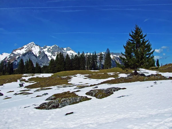 Conto Fadas Neve Idílico Início Primavera Aos Pés Cordilheira Alpina — Fotografia de Stock