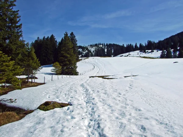 Idylická Sněhová Pohádka Jaře Úpatí Churfirstenského Pohoří Wildhaus Kanton Gallena — Stock fotografie