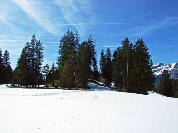 Conto Fadas Neve Idílico Início Primavera Aos Pés Cordilheira Alpina — Fotografia de Stock