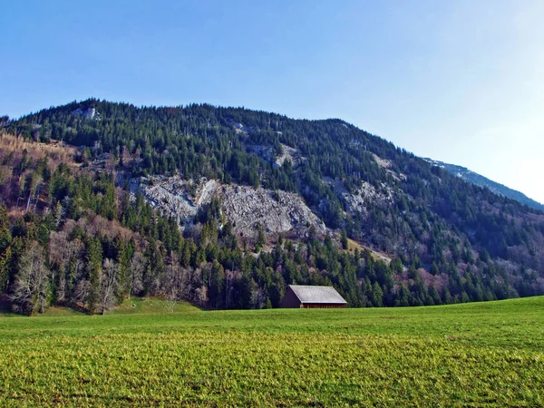 Alpejskie Pastwiska Łąki Zboczach Pasma Górskiego Churfirsten Dolinie Rzeki Thur — Zdjęcie stockowe