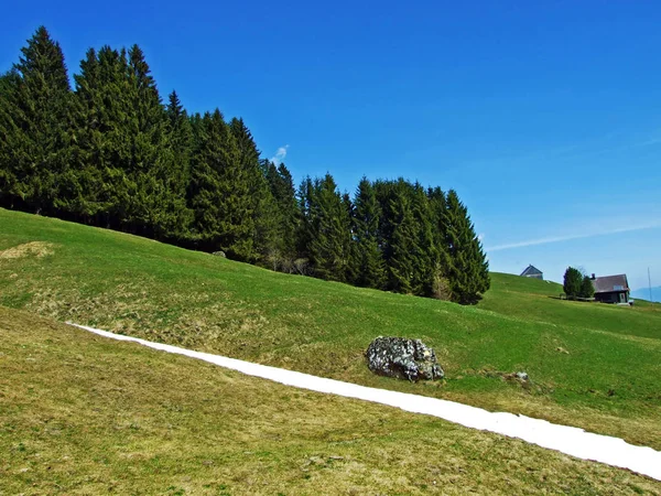 Alpejskie Pastwiska Łąki Zboczach Pasma Górskiego Churfirsten Dolinie Rzeki Thur — Zdjęcie stockowe