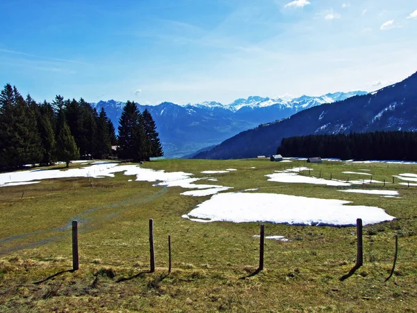 Alpenweiden Weiden Hellingen Van Het Churfirsten Gebergte Het Thur Dal — Stockfoto