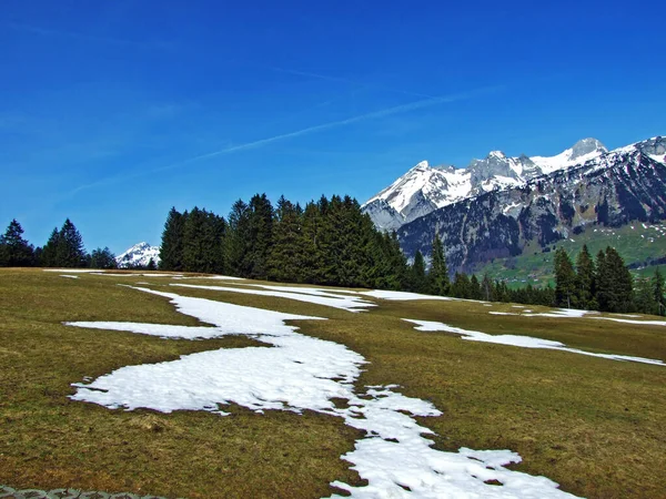チュルファーテン山脈の斜面と川の上の高山の牧草地Thur Valley Wildhaus カントン セント ガレン スイス — ストック写真