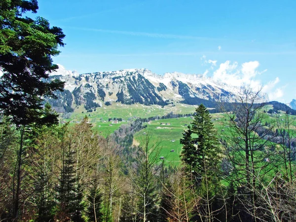 混合林とチュルファーレン山脈の斜面や川の上の木を間伐Thur谷 ワイルドハウス サンガレンのカントン スイス — ストック写真