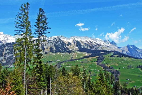 Gemengde Bossen Uitgedunde Bomen Hellingen Van Churfirsten Bergketen Thur Vallei — Stockfoto