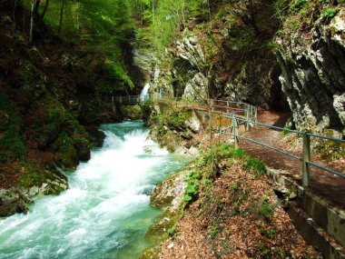 Unterwasser ve Obertoggenburg bölgesinde bulunan Thur Nehri Kanyonu (die Schlucht des Flusses Thur) İsviçre 'nin St. Gallen Kantonu