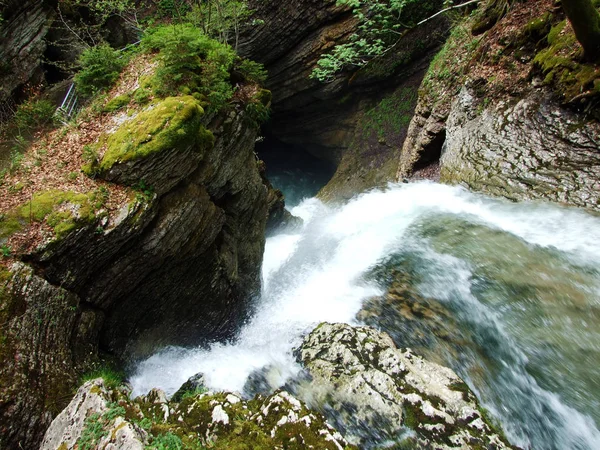 Thur Waterfalls Thurwasserfaelle Oder Thurfaelle Thurfalle Thur River Obertoggenburg Region — 图库照片