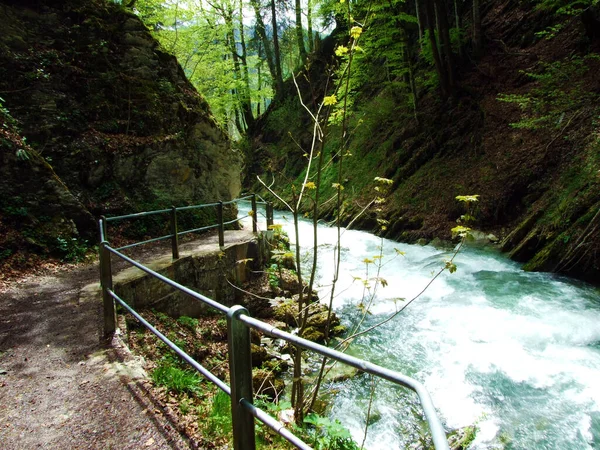 Thur Rivier Canyon Die Schlucht Des Flusses Thur Unterwasser Nederzetting — Stockfoto