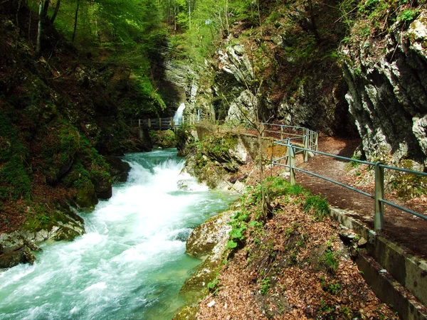 Thur Rivier Canyon Die Schlucht Des Flusses Thur Unterwasser Nederzetting — Stockfoto