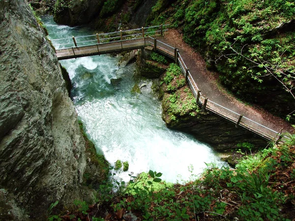 Каньйон Річки Тур Schlucht Des Flusses Thur Поселенні Унтервассер Регіоні — стокове фото