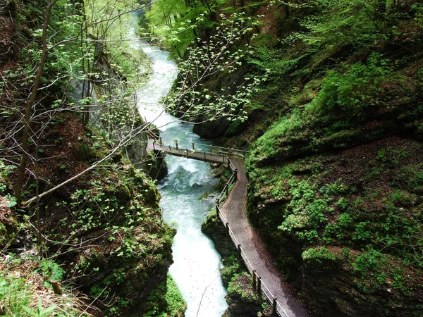 Thur River Canyon Die Schlucht Des Flusses Thur Assentamento Unterwasser — Fotografia de Stock