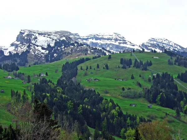 Pasmo Górskie Churfirsten Wczesną Wiosną Między Dolinami Rzecznymi Thurtal Seeztal — Zdjęcie stockowe