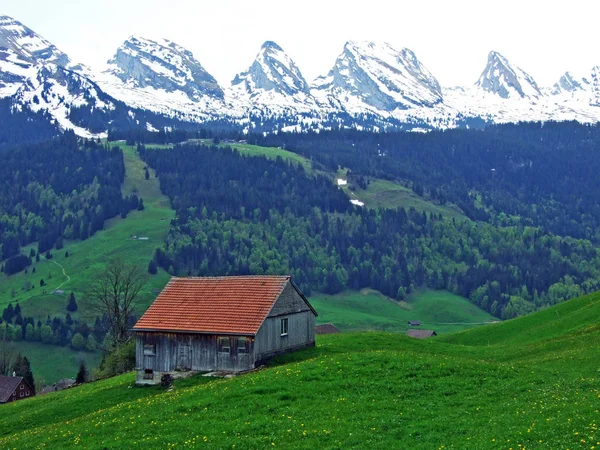 Mountain Range Churfirsten Early Spring River Valleys Thurtal Seeztal Unterwasser — Stock Photo, Image