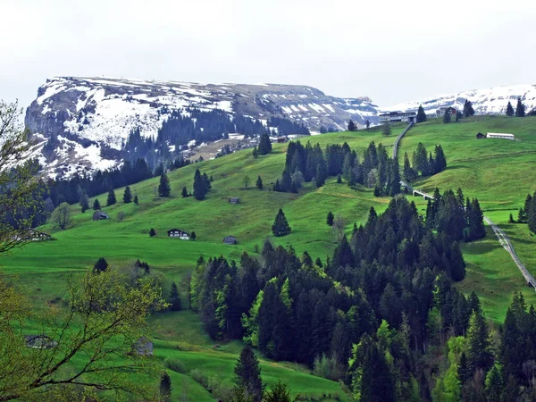 Cima Alpina Gamserrugg Nella Catena Montuosa Del Churfirsten Tra Regione — Foto Stock