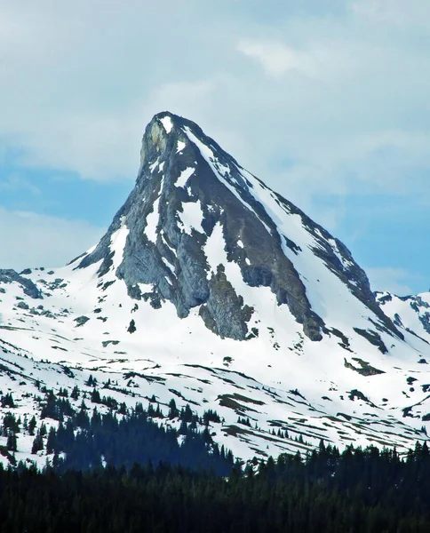 Montagna Rocciosa Zuestoll Nella Catena Montuosa Churfirsten Tra Regione Obertoggenburg — Foto Stock