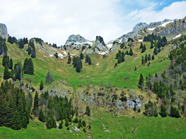 View Alpstein Range Thur River Valley Toggenburg Region Wildhaus Canton — ストック写真