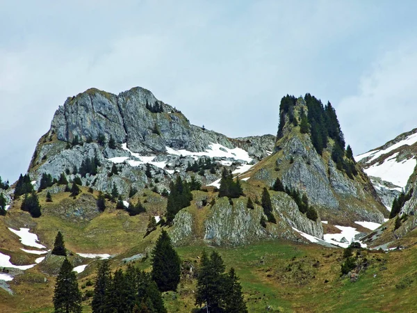 Vue Chaîne Alpstein Depuis Vallée Thur Dans Région Toggenburg Wildhaus — Photo