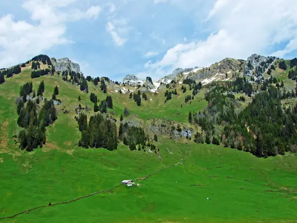 Pohled Pohoří Alpstein Údolí Řeky Thur Regionu Toggenburg Wildhaus Kanton — Stock fotografie