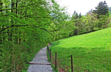 Thur nehir vadisinde ve Obertoggenburg bölgesinde, Unterwasser - St. Gallen Kantonu, İsviçre