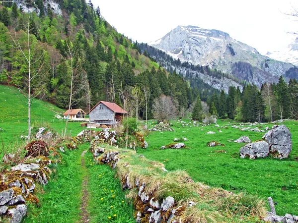 오베르 부르크 지역에서 표시된 오솔길들 무터와 스위스 세인트갤 — 스톡 사진