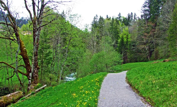 Thur nehir vadisinde ve Obertoggenburg bölgesinde, Unterwasser - St. Gallen Kantonu, İsviçre