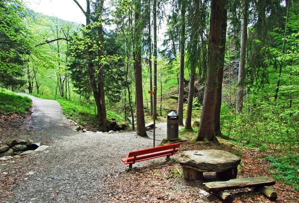 Caminhadas Trilhas Marcadas Vale Rio Thur Região Obertoggenburg Unterwasser Cantão — Fotografia de Stock