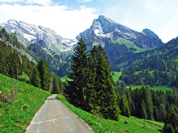 Wandel Bewegwijzerde Paden Het Dal Van Thur Regio Obertoggenburg Unterwasser — Stockfoto